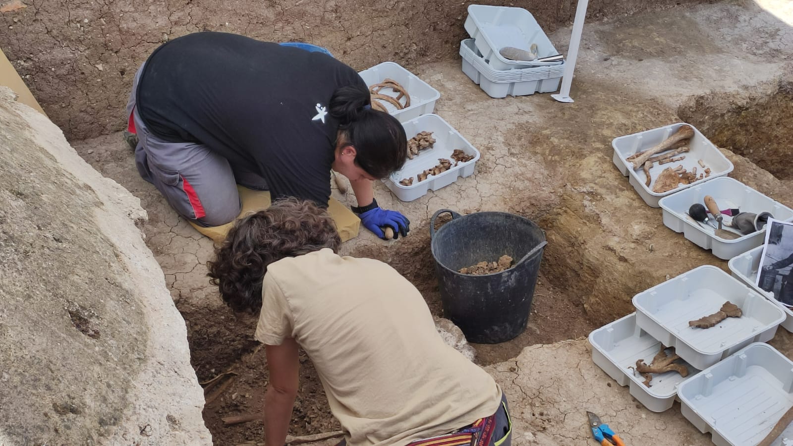 Trabajos en las fosas comunes del cementerio de Cabra en busca de personas represaliadas