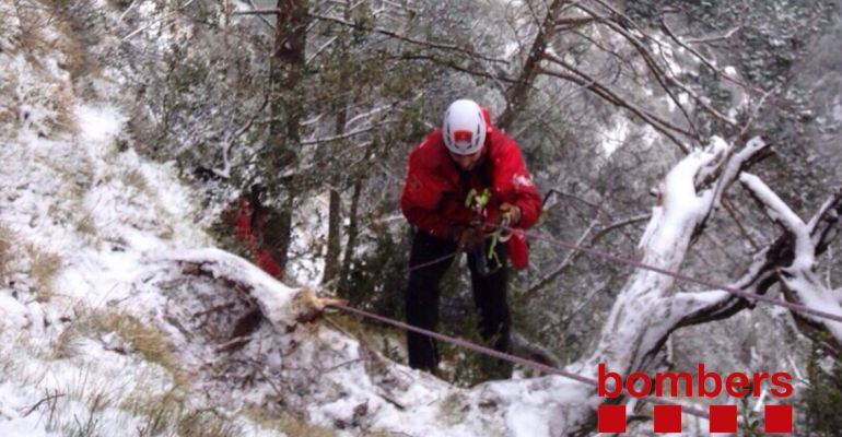 L'animal s'ha enforinyat en una zona de difícil accés per on no en podia sortir. L'han localitzat amb GPS pel xip que duia