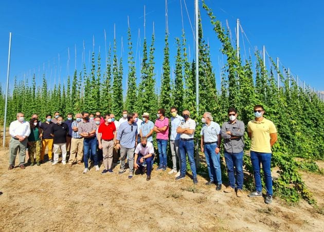 Estrella de Levante ha organizado una visita a uno de los campos de lúpulo en Caravaca de la Cruz, a la que han asistido entre otros, el alcalde, José Francisco García, el director general de Estrella de Levante, Pedro Marín, el director técnico, Juan Ant