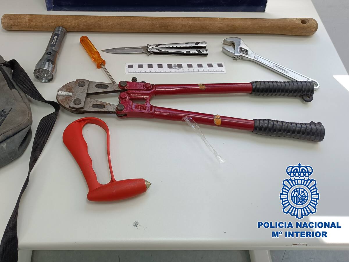 La Policía Nacional desarticula un grupo criminal de Talavera dedicado al robo con fuerza en vehículos