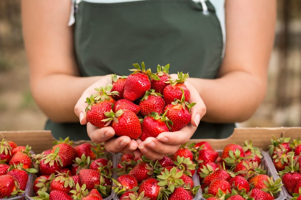 Las fresas son una excelente fuente de vitamina C, ácido fólico, potasio y manganeso.