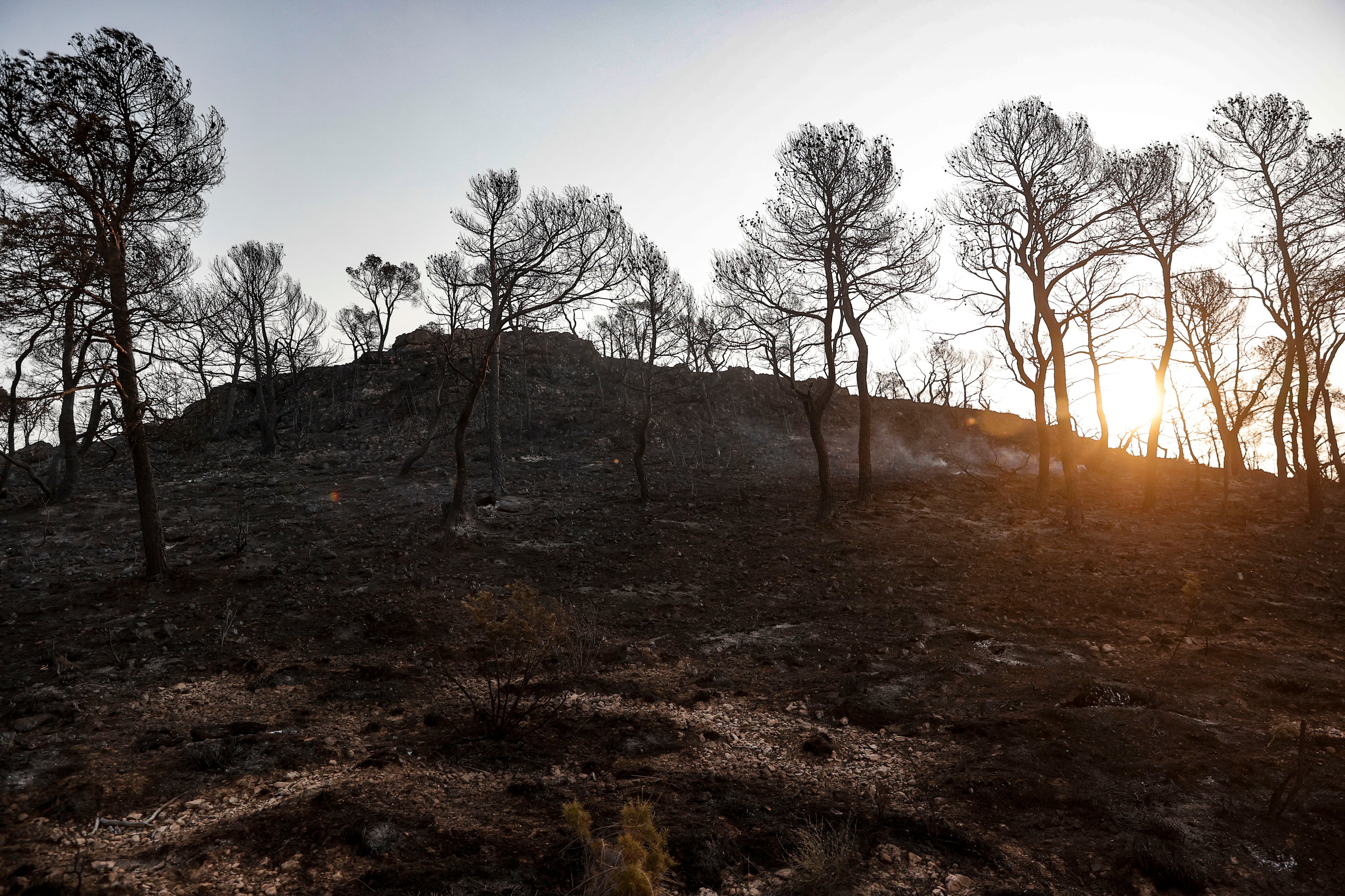 GRAFCVA8939. TERESA DE COFRENTES (VALENCIA), 14/08/2025.- Un total de siete medios aéreos se han incorporado esta mañana a las tareas de extinción del incendio forestal declarado la tarde de este miércoles en una zona de difícil acceso de Teresa de Cofrentes (interior sur de Valencia), iniciado por un rayo, y se ha solicitado un medio aéreo más a Aragón. En la imagen la zona incendiada a primera hora de este jueves. EFE/Manuel Bruque