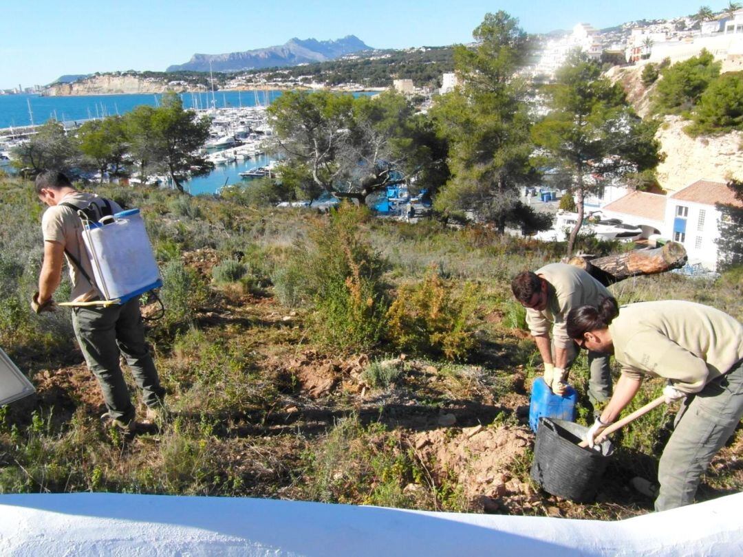 Portixolet. Moraira