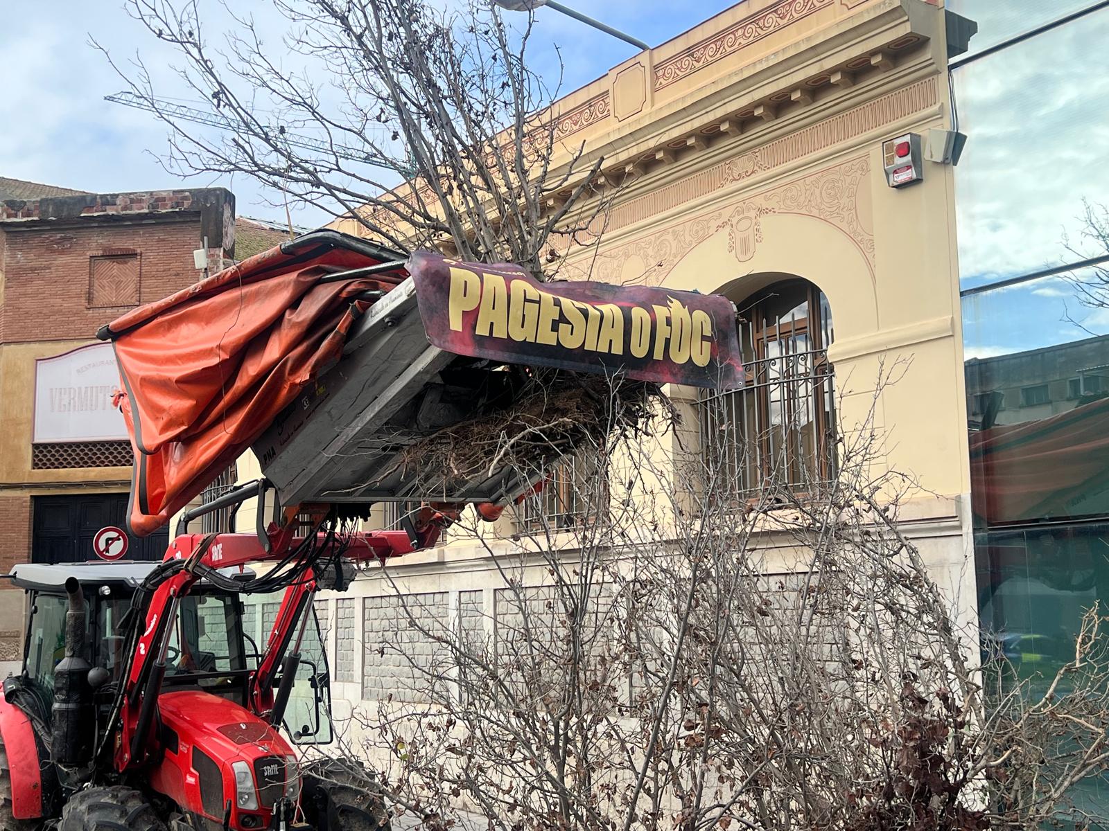 Unió de Pagesos crema diversos avellaners davant la porta d'Aigües de Reus, com a símbol de protesta