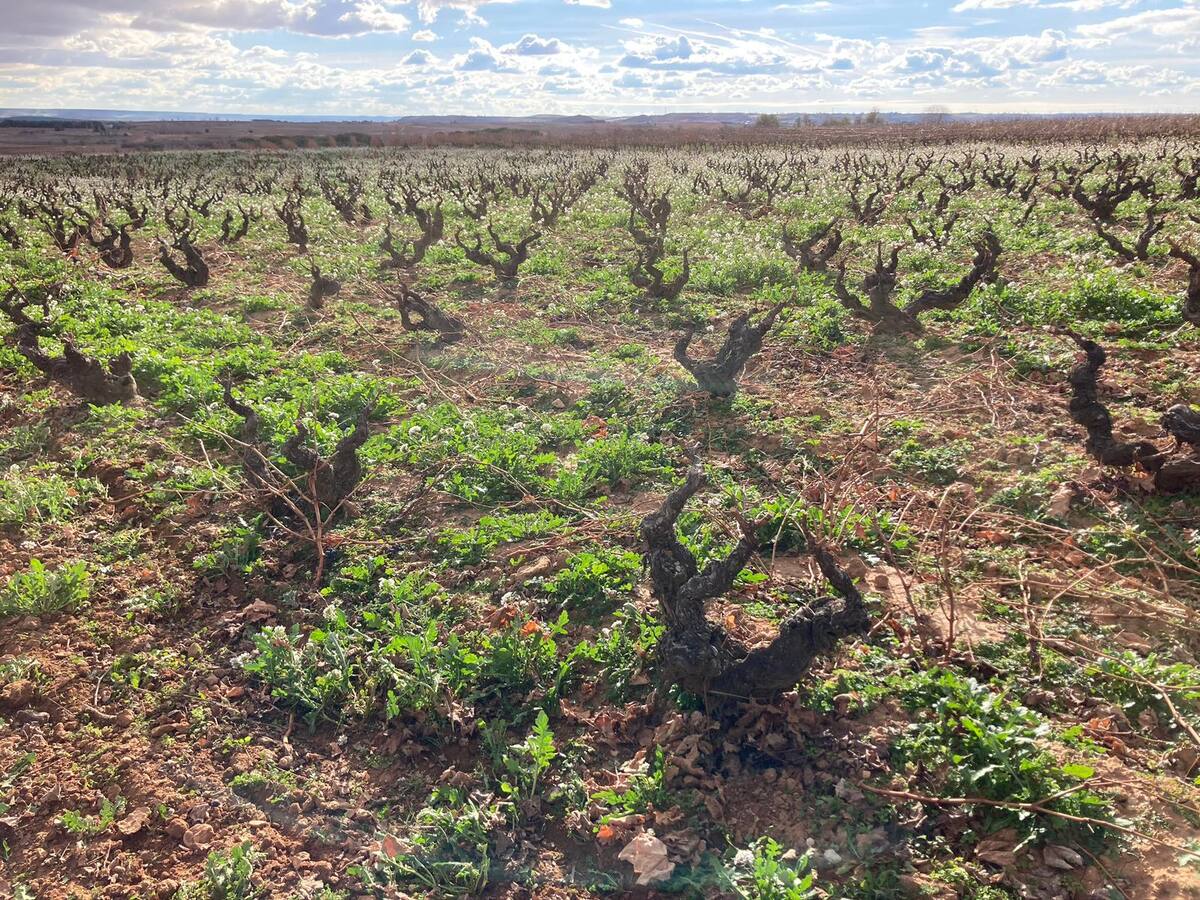 Trabajar como los abuelos para paliar el cambio climático