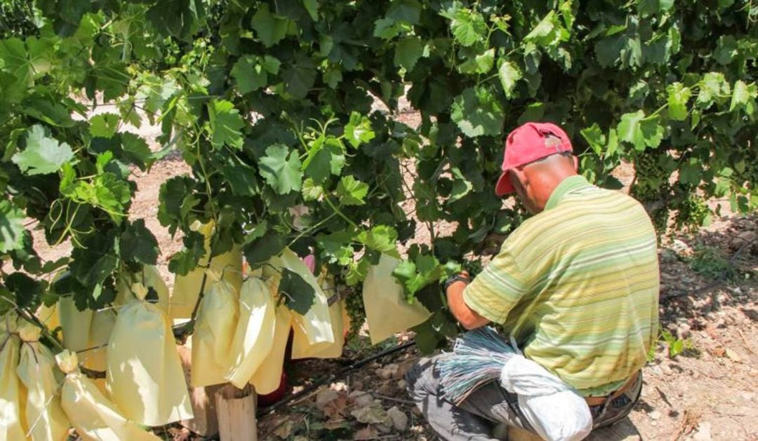 La medida puede afectar a 12.000 familias