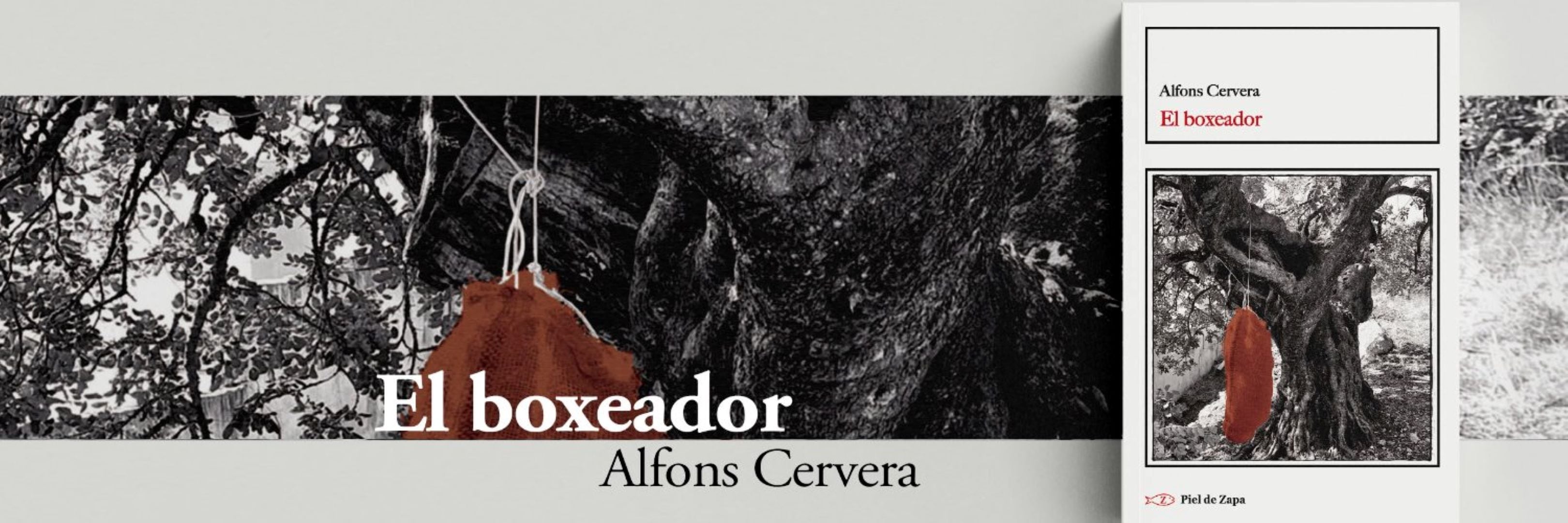 &#039;El boxeador&#039; de Alfons Cervera