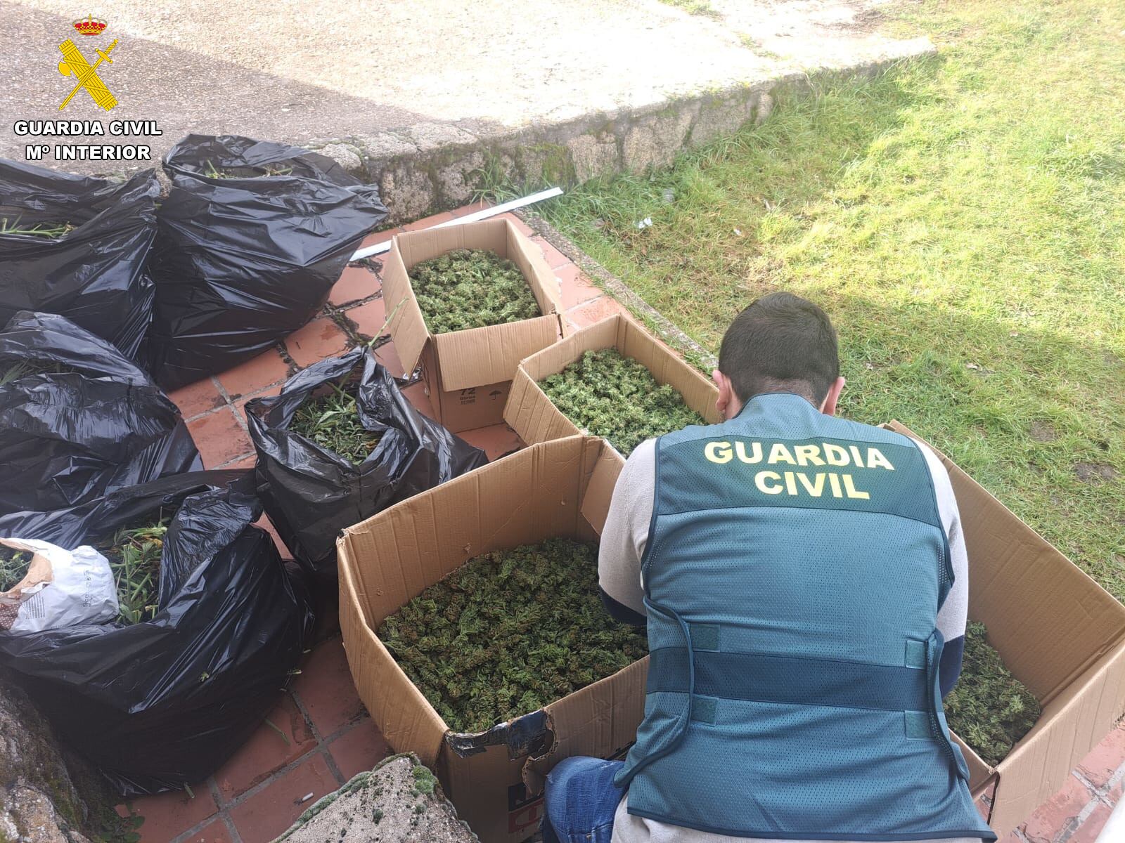 La Guardia Civil interviene más de 30 kilos de hojas de marihuana en Fresno de Cantespino