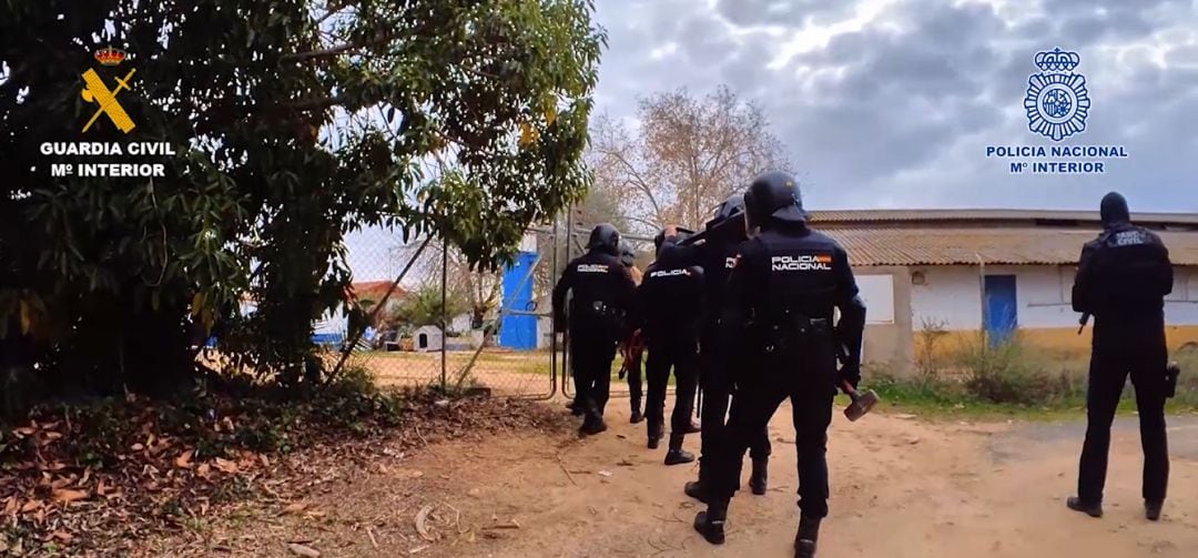 Operación conjunta de Guardia Civil y Policía Nacional.