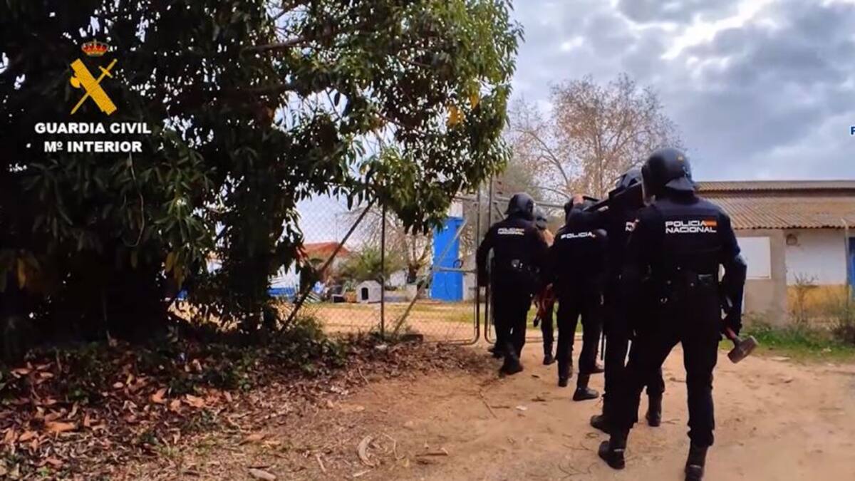 Desarticulada una organización internacional dedicada al tráfico de drogas con residentes en Jaén