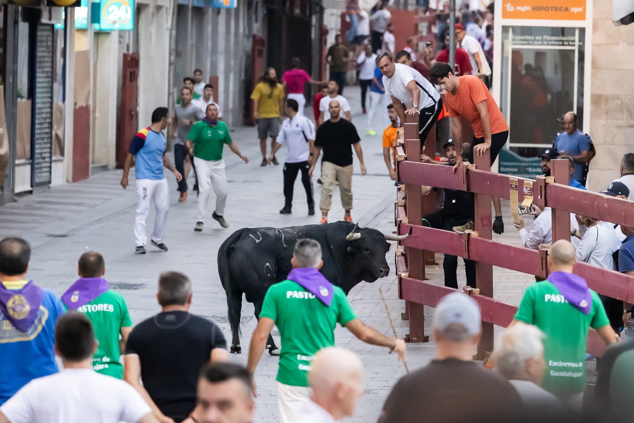 Toro parado en el segundo encierro