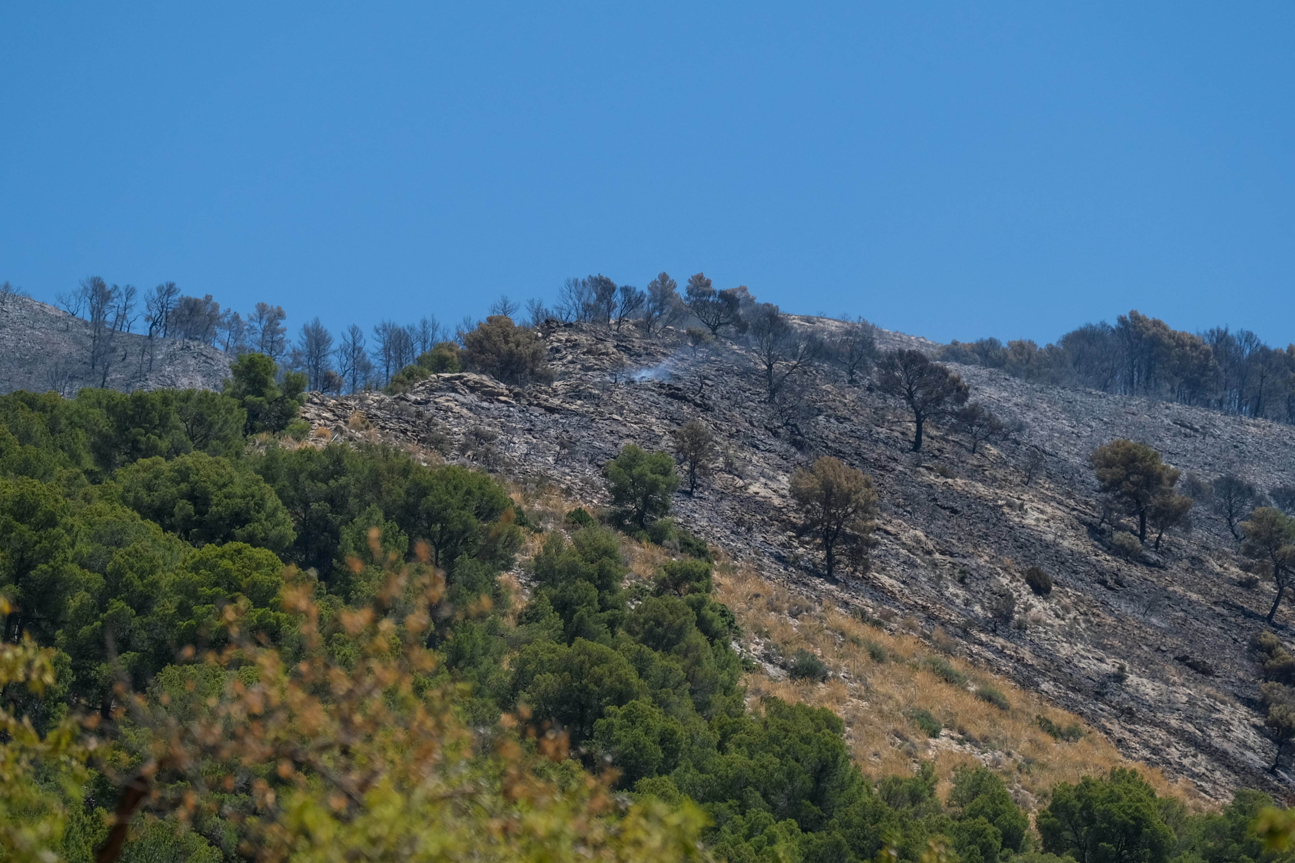 GRAF7576. IBI (ALICANTE), 19/07/2025.- Vista de los daños producidos por el incendio forestal declarado en el paraje San Pascual de Ibi (Alicante) EFE / Pablo Miranzo