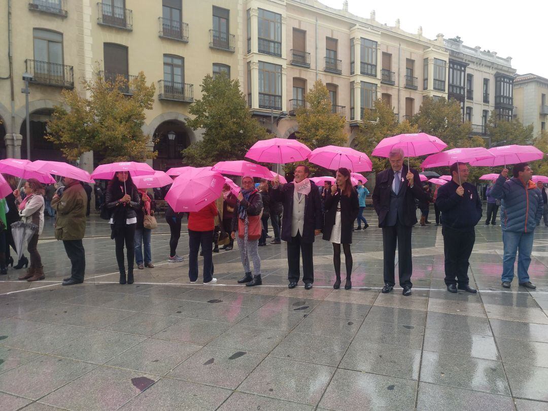 Concejales del Ayuntamiento de Ávila, de varios grupos políticos, han formado parte en la formación de un gran lazo rosa en el Mercado Grande