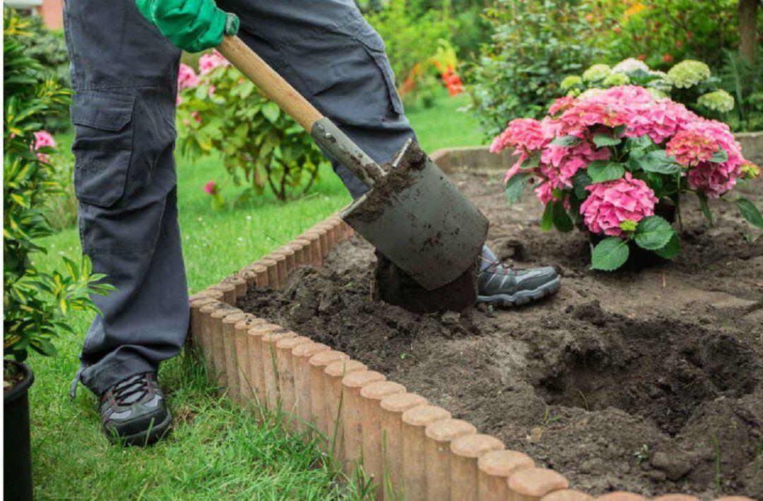 Se ofrece formación en jardinería para 9 jóvenes de Medina del Campo