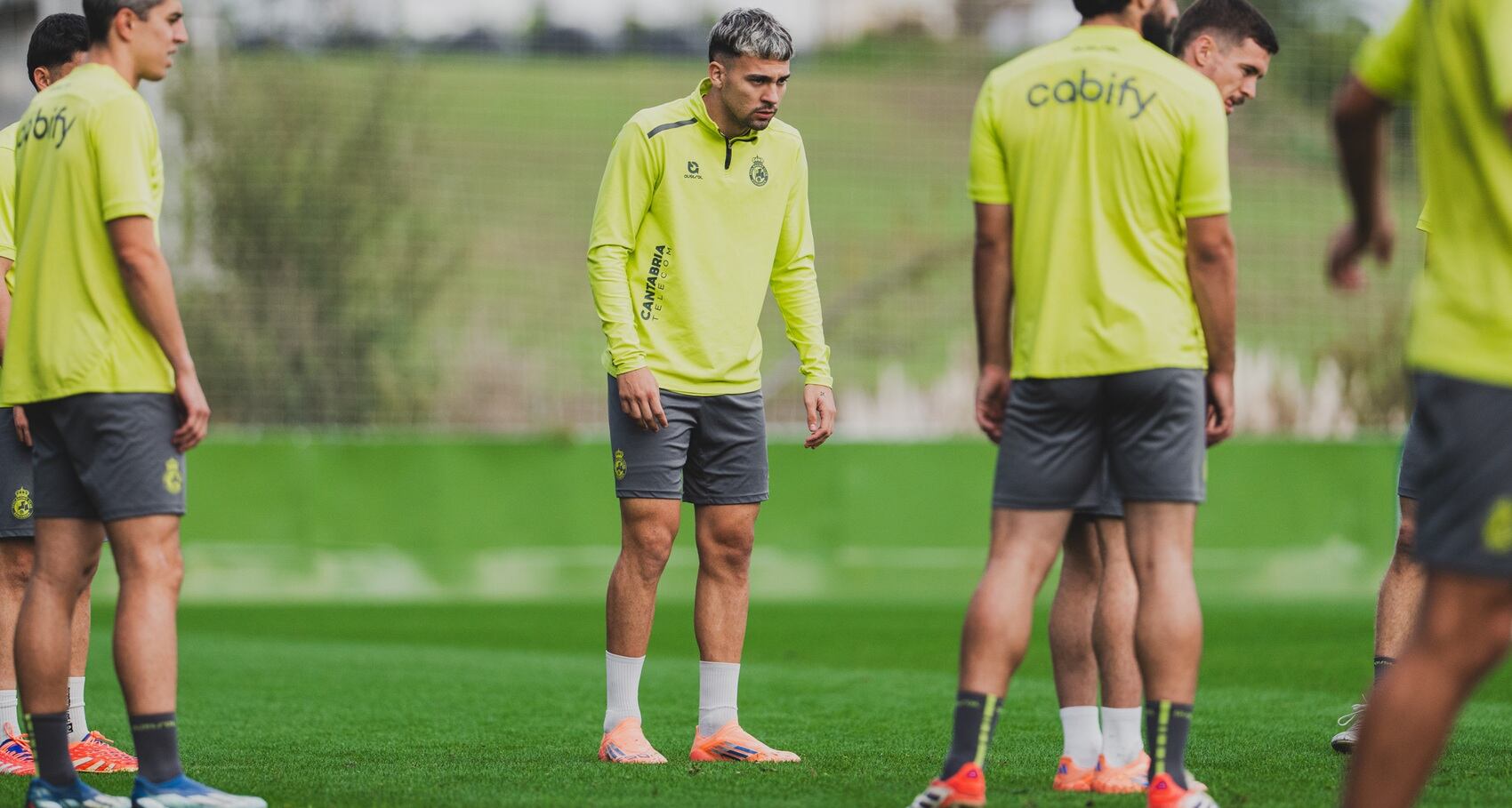 Arana, en una imagen de archivo.