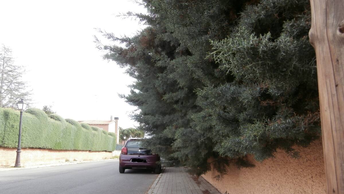 El alcalde de Ávila responde: mayo 2024