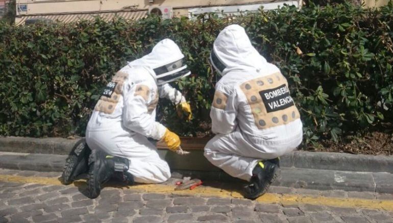 Bomberos trabajando en la retirada de un enjambre