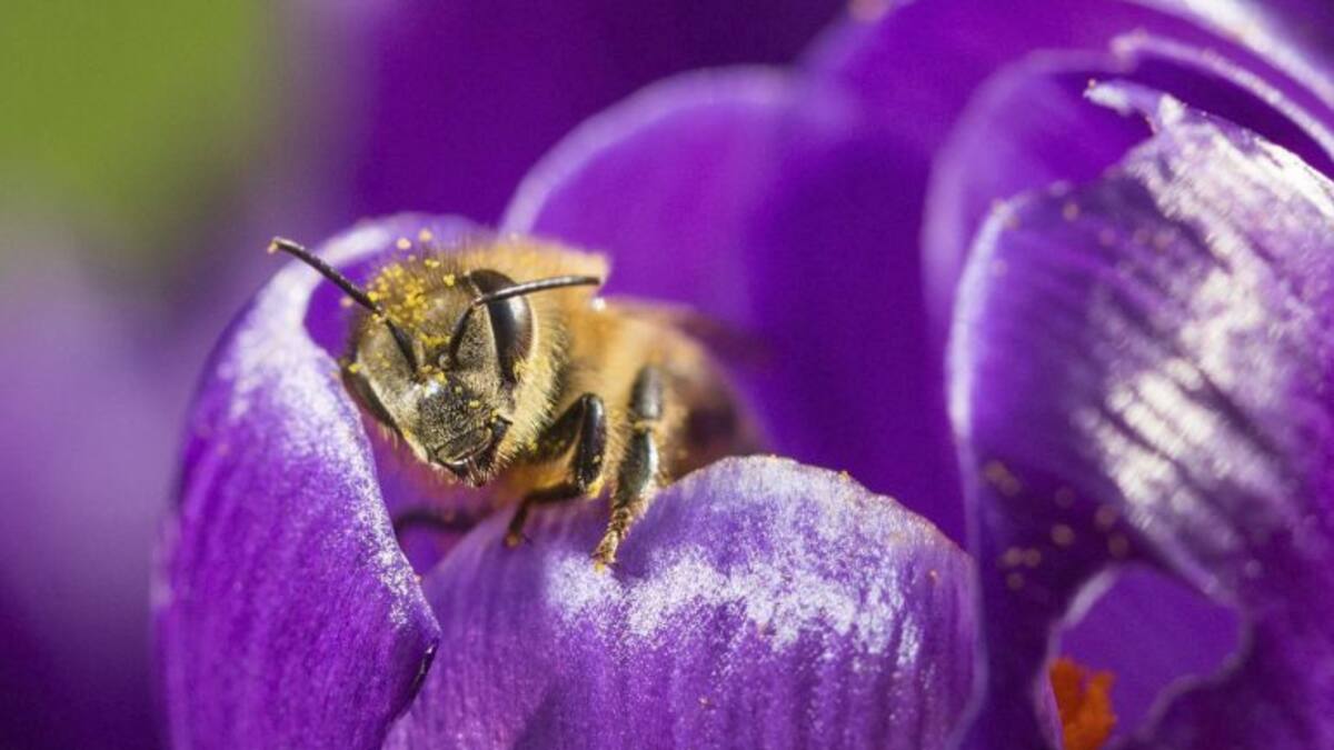 Así influye la primavera en nuestro cuerpo