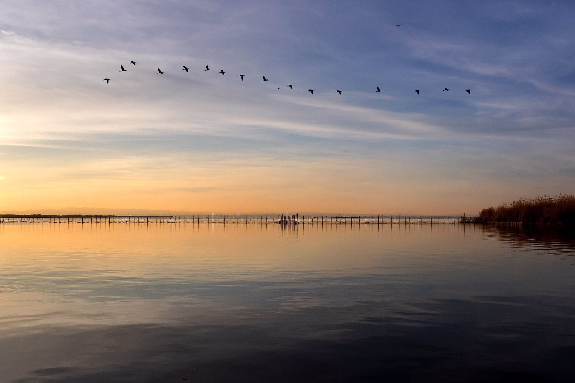 Imagen de archivo de la Albufera de València