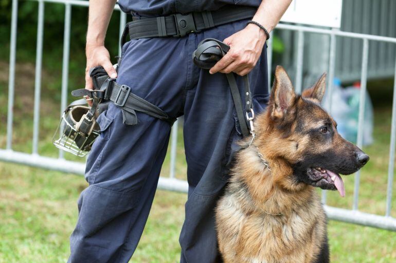 Perro de la Unidad Canina K9.