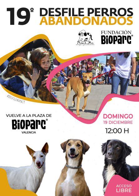 Desfile de perros abandonados