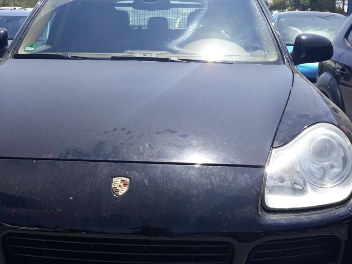 La Policía Local inmoviliza un vehículo de alta gama por llevar la matrícula de otro turismo