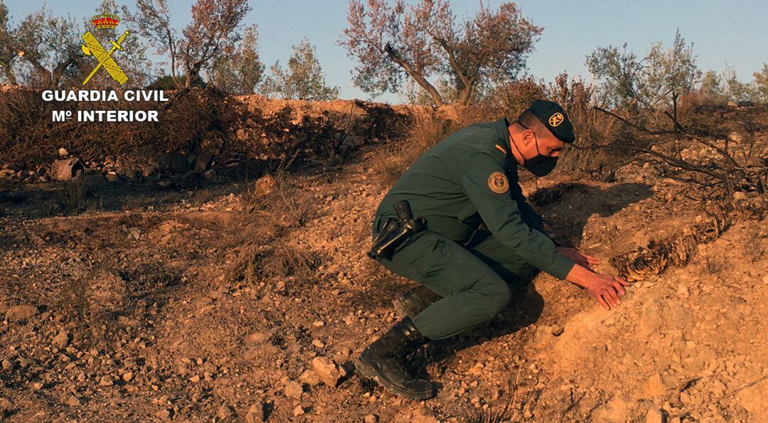 Un agente de la Guardia Civil inspecciona la zona afectada por el fuego