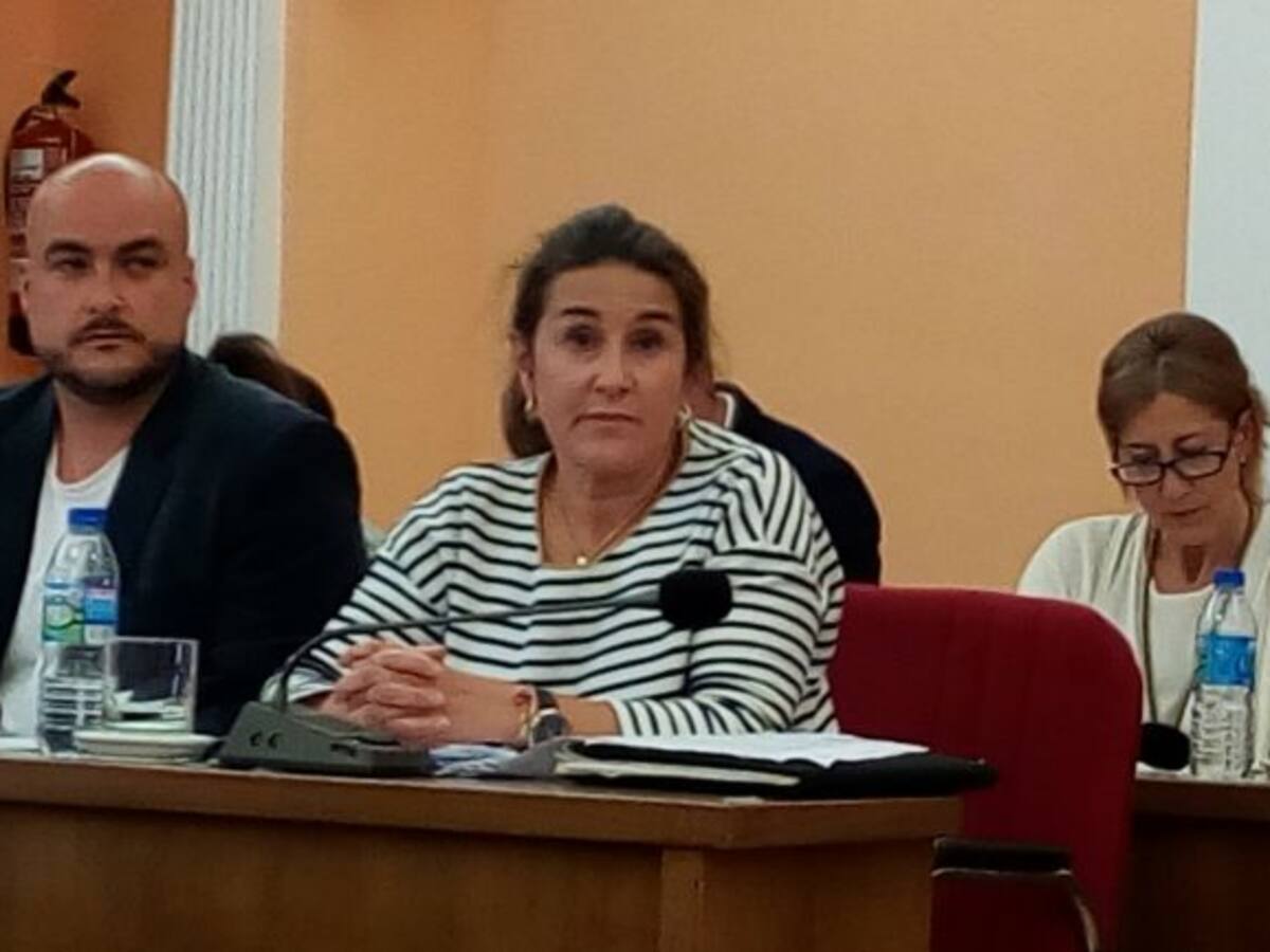 Peticiones a los presupuestos