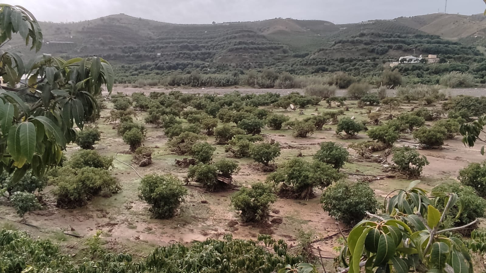 Finca inundada en Vélez