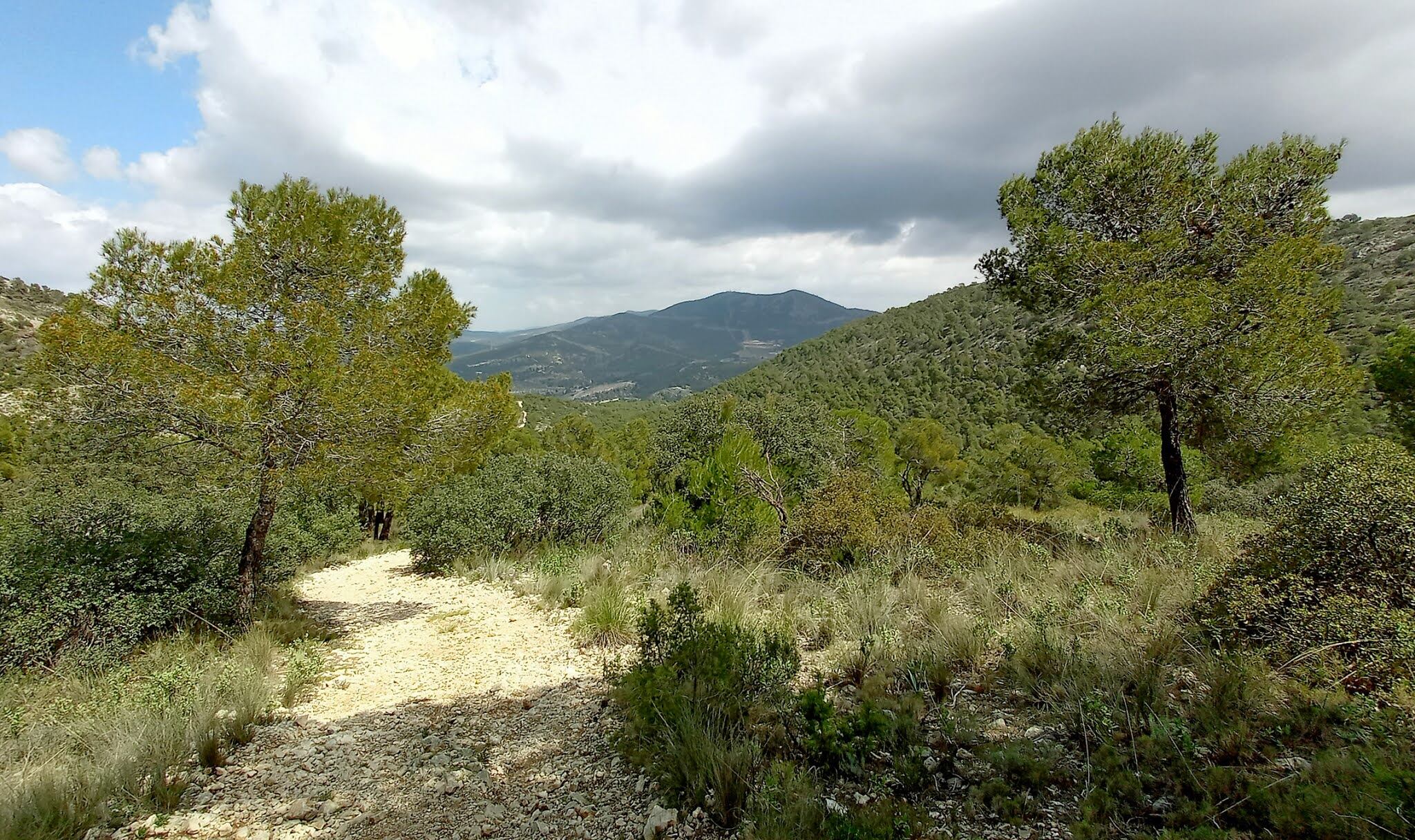 Término municipal de Biar