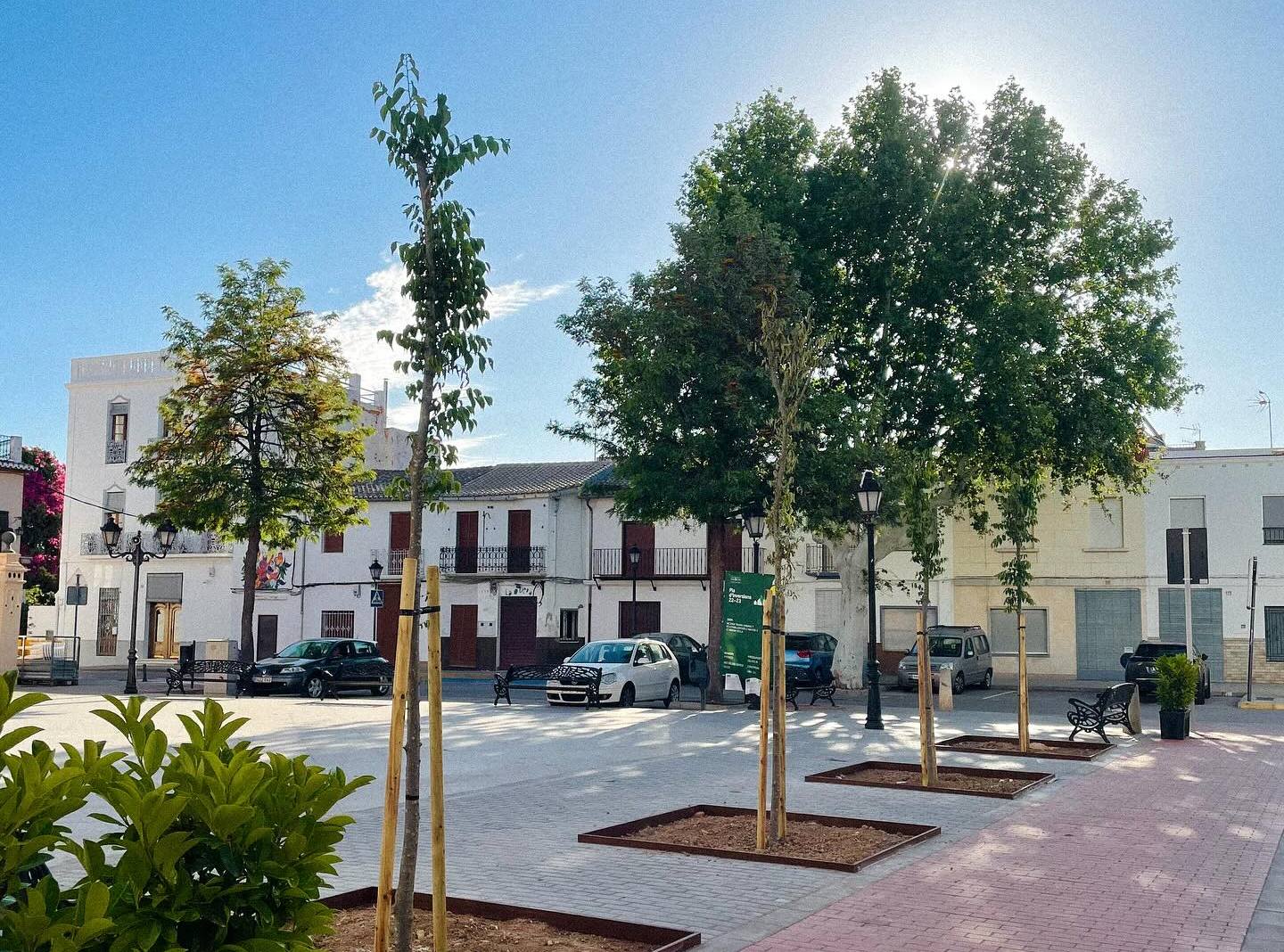 Algunos de los árboles que se han plantado en las calles del municipio.