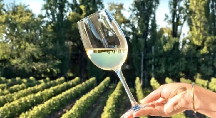 Copa de vino en el campo