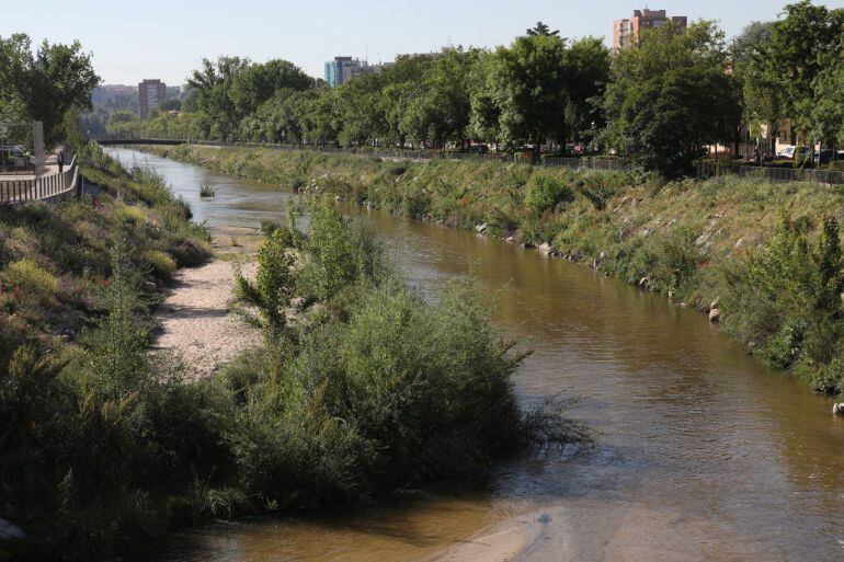 Concluyen las obras de renaturalización en un tramo de 1,3 kilómetros del Manzanares