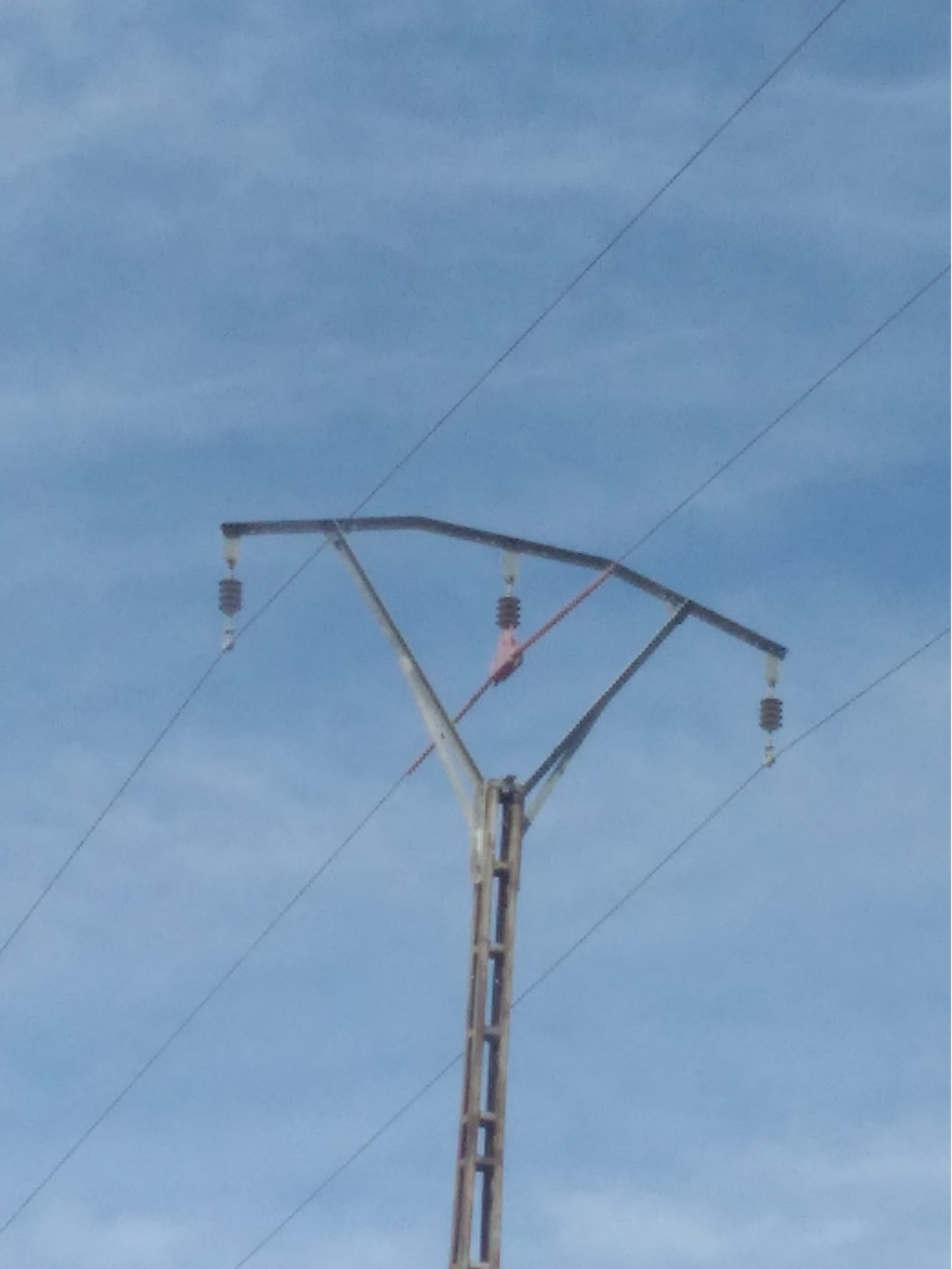 Medidas de protección de la avifauna en algunas líneas eléctricas de la CHS