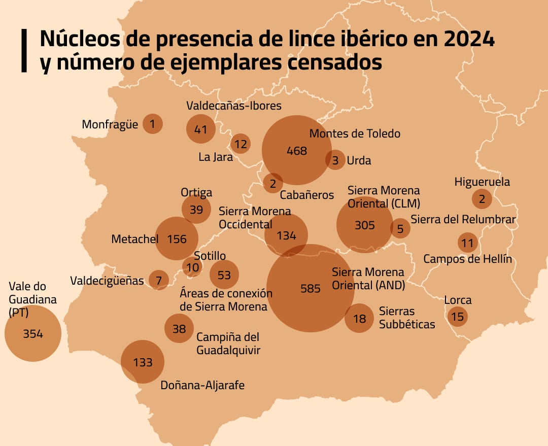Núcleos de presencia de lince ibérico en 2024 y número de ejemplares censados
