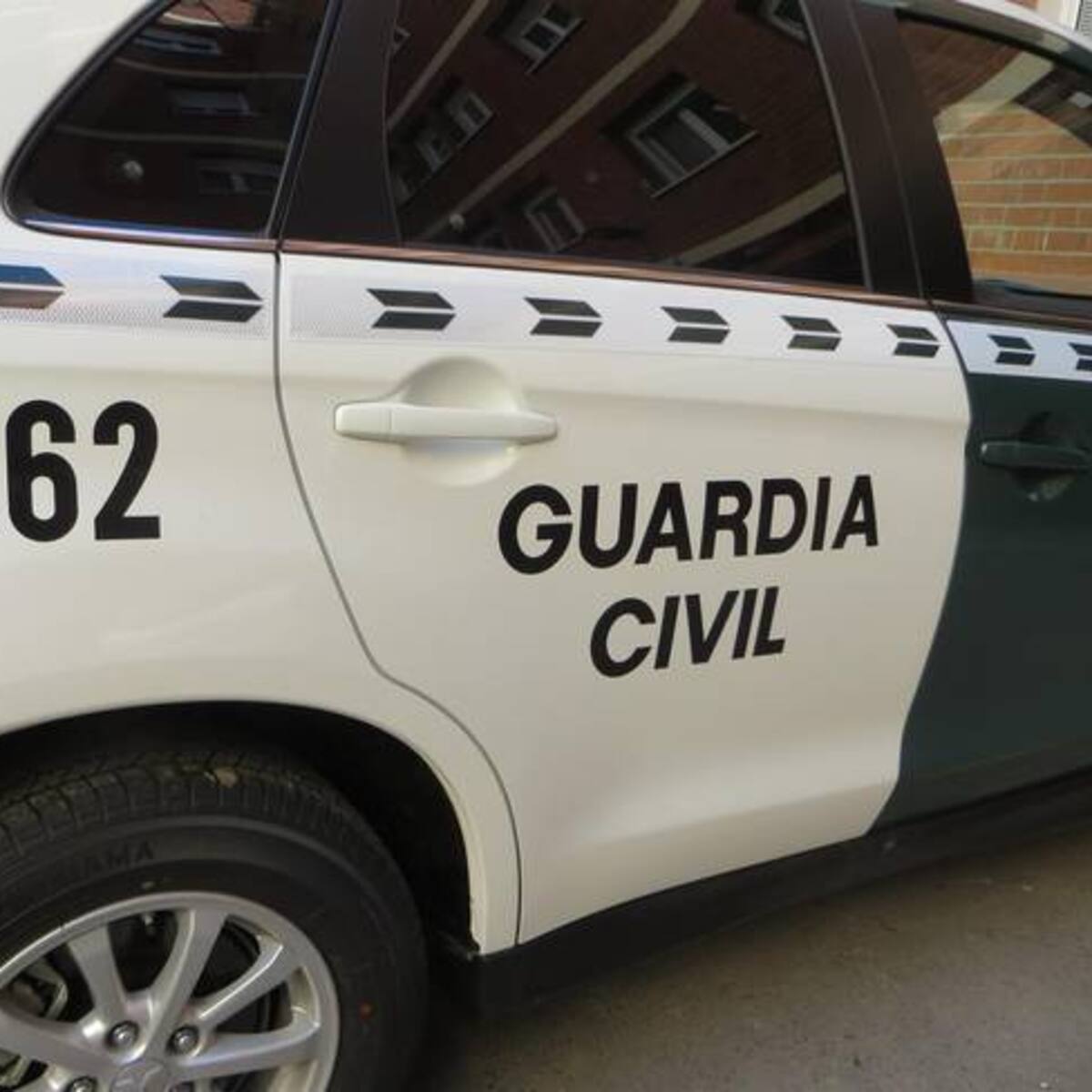 La Guardia Civil encuentra los cadáveres de 13 gatos en un piso de Santander