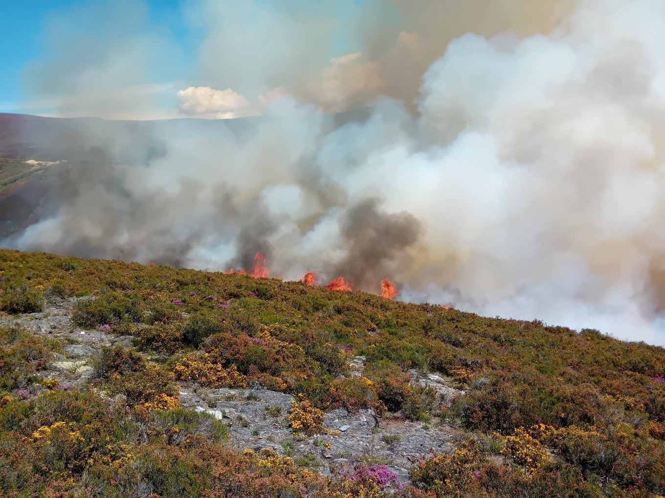 Incendio de Chan de Villar