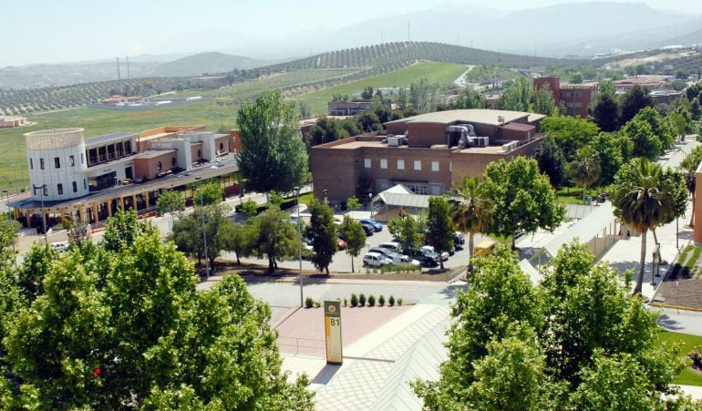 Universidad de Jaén.