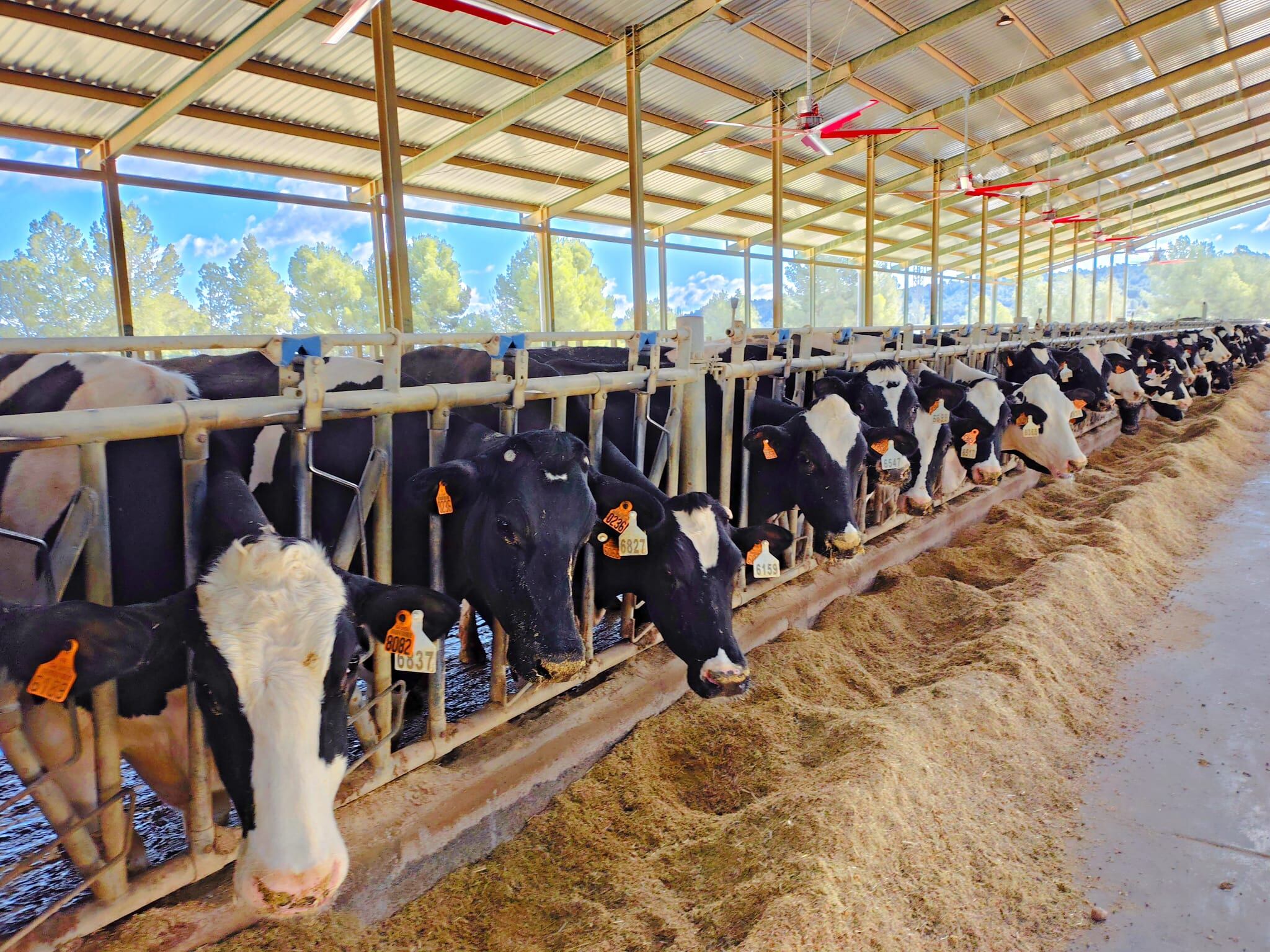 Momento de la visita a la empresa ganadera