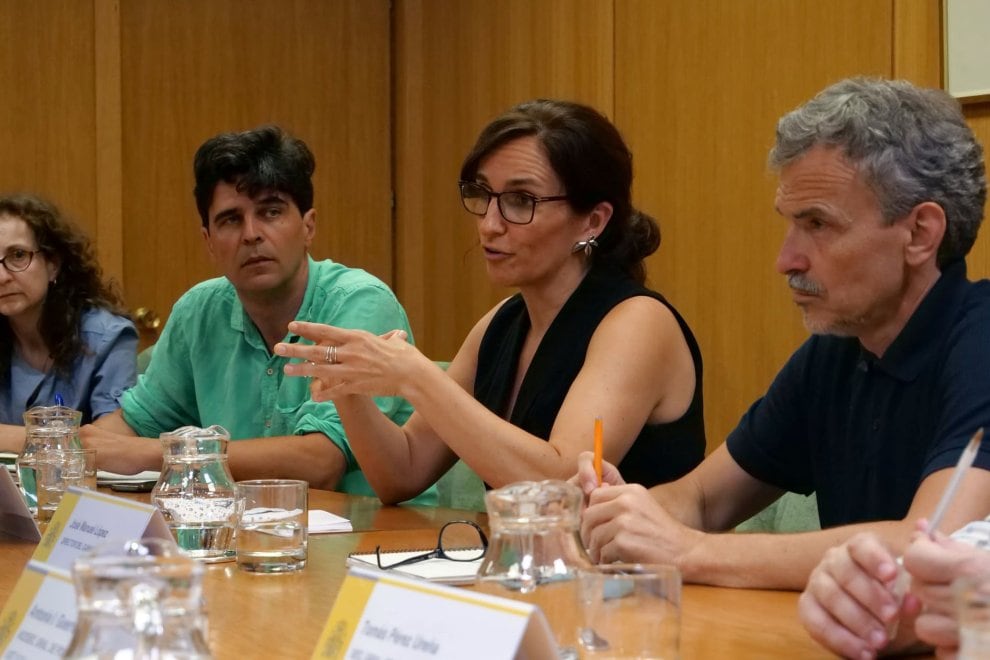 Mónica García con las plataformas por la sanidad de Castilla y León
