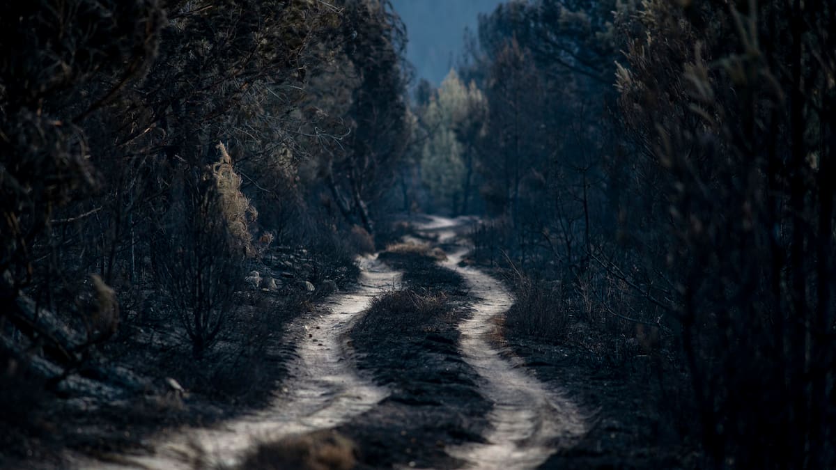 “No salimos vivos de aquí”: los bomberos de Castilla y León denuncian la mala gestión de la Junta
