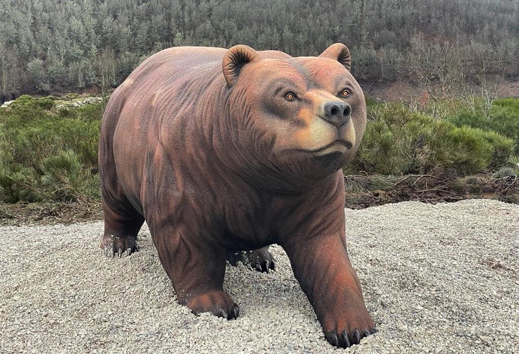 Oso instalado en el mirador