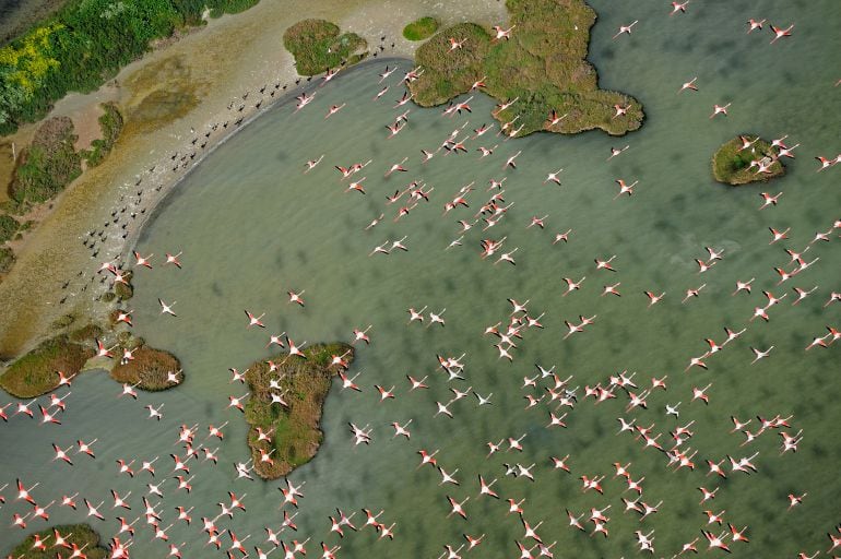 Marismas de Doñana a vista de pájaro