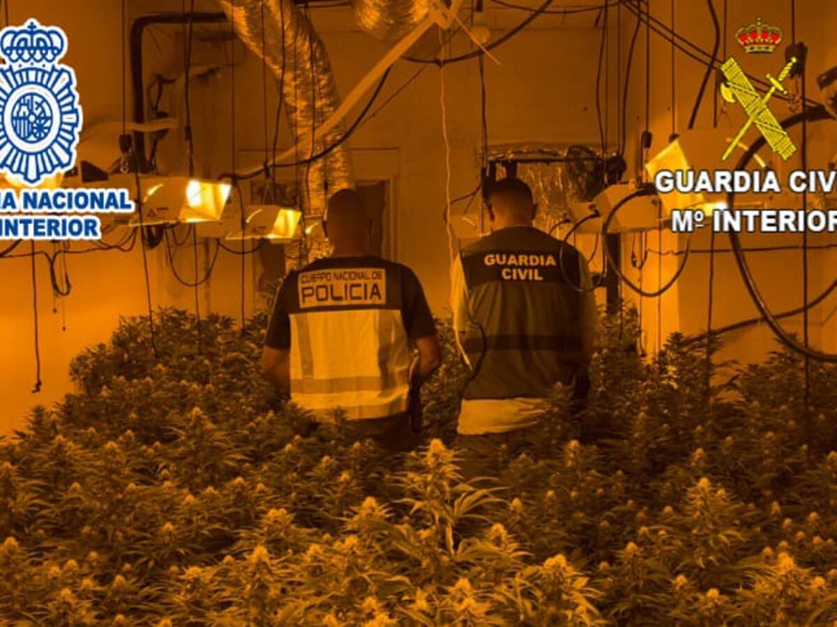 Desmantelado un grupo criminal dedicado al tráfico de drogas y robos en Alicante, Murcia y Albacete