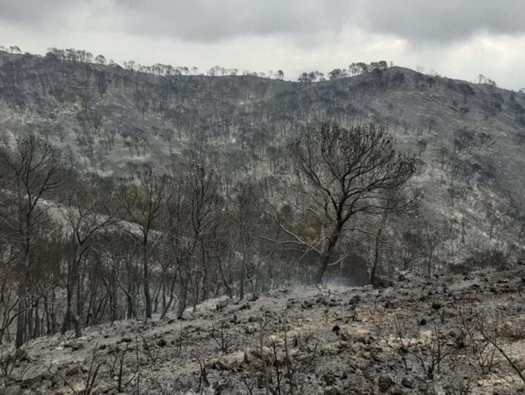 Imagen de archivo de un incendio anterior en Sierra de Lújar