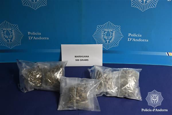 La marihuana decomissada per la policia.