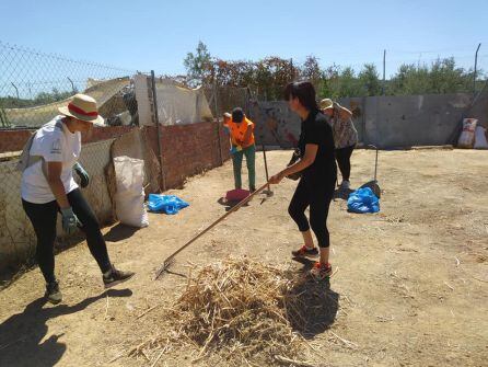 Voluntarios realizan trabajos de mantenimiento en el albergue de animales