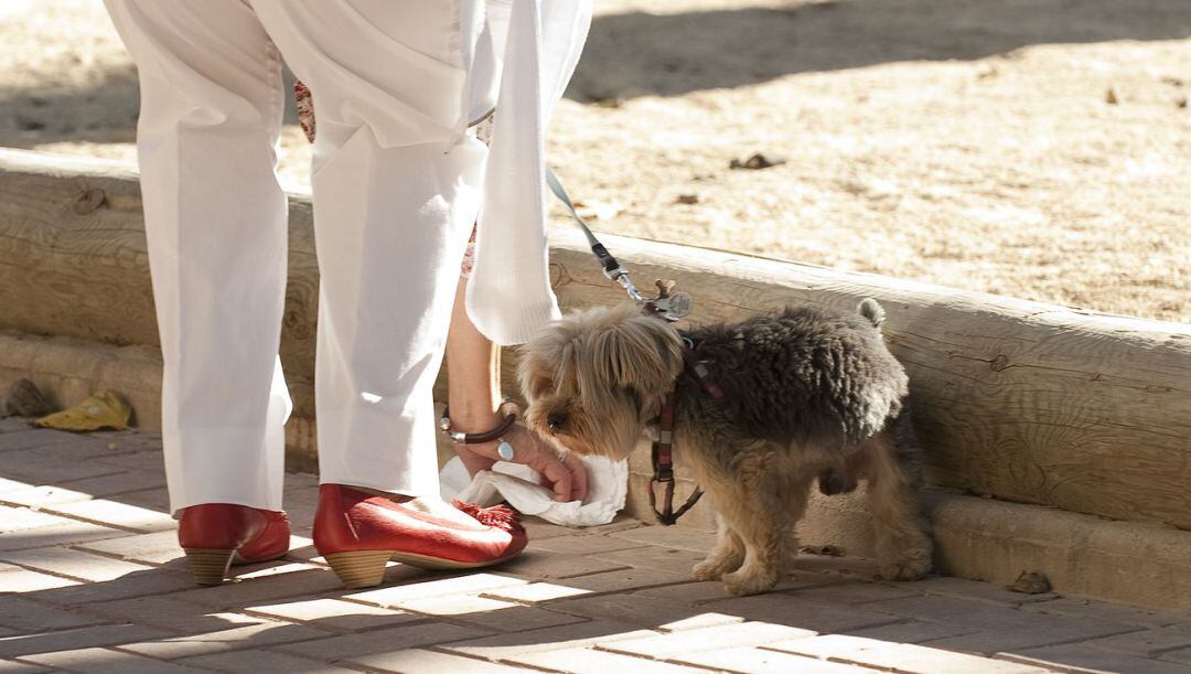 Una persona recoge los excrementos de su perro.