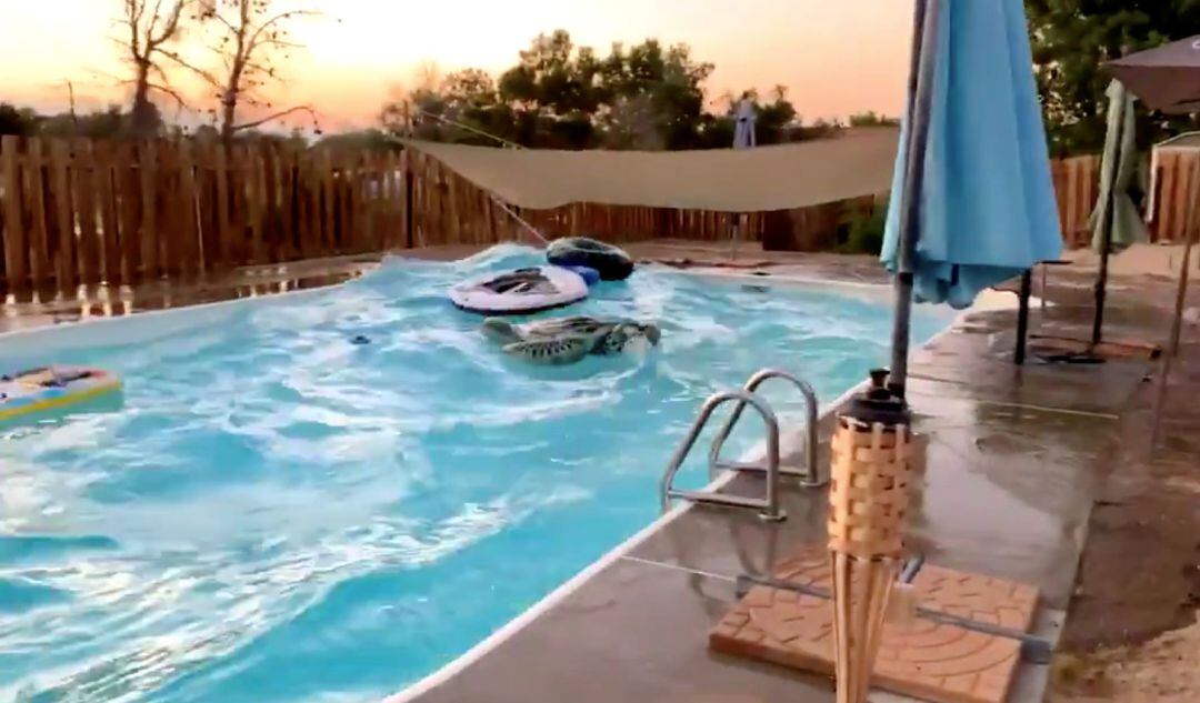 El seísmo en California provoca olas en una piscina