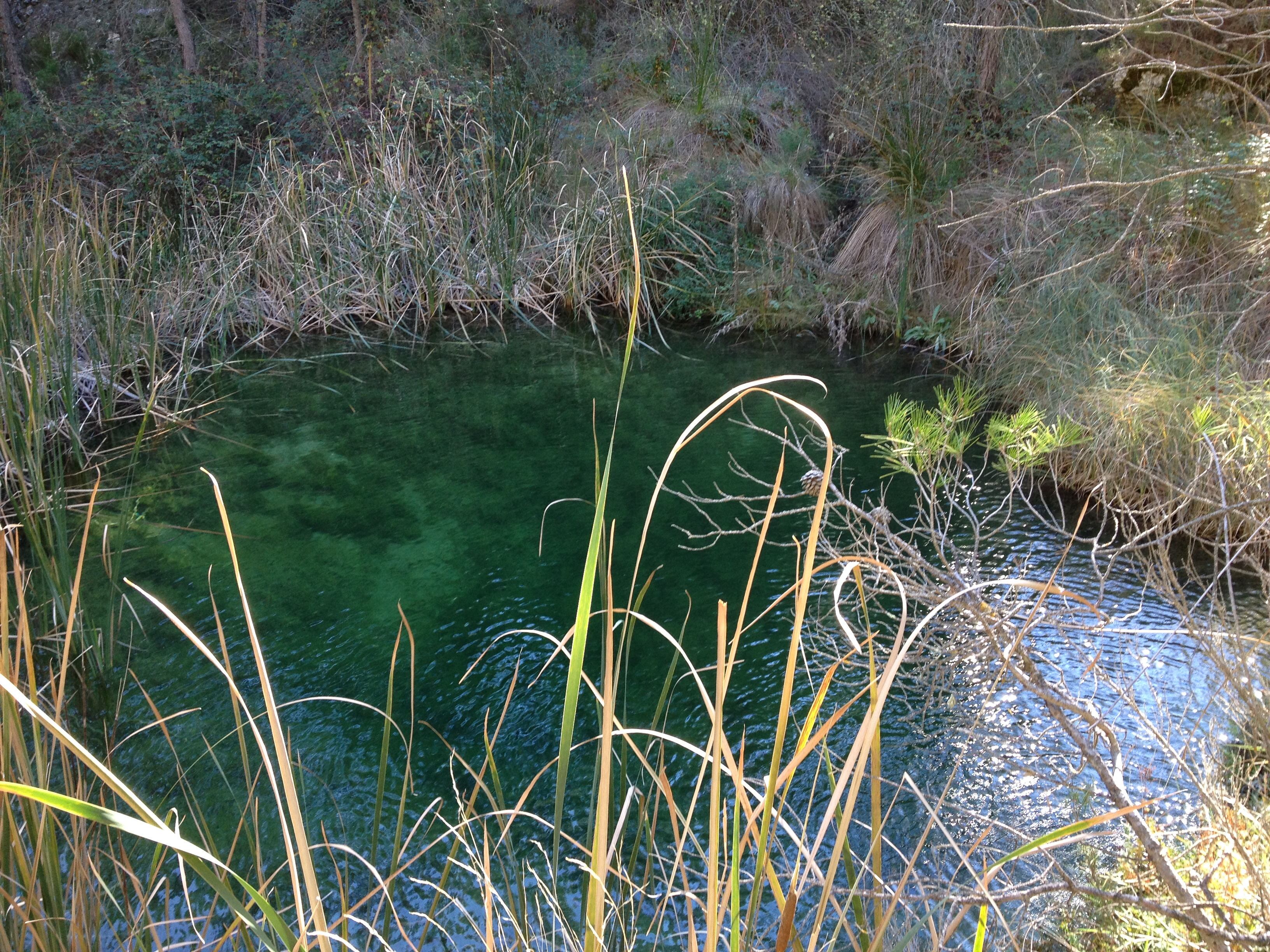 Poza de las Tortugas en Moratalla, en el barranco de Hondares, donde la asociación Descubriendo Moratalla llevará a cabo el censo de la fauna